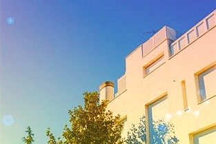 BERT是图像预训练未来？字节iBOT刷新十几项SOTA，成为 NLP 任务的标配